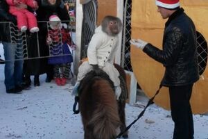 Новогодние гуляния в Керчи сопровождались выступлениями символа года – живой обезьяны из заезжего крымского цирка-шапито