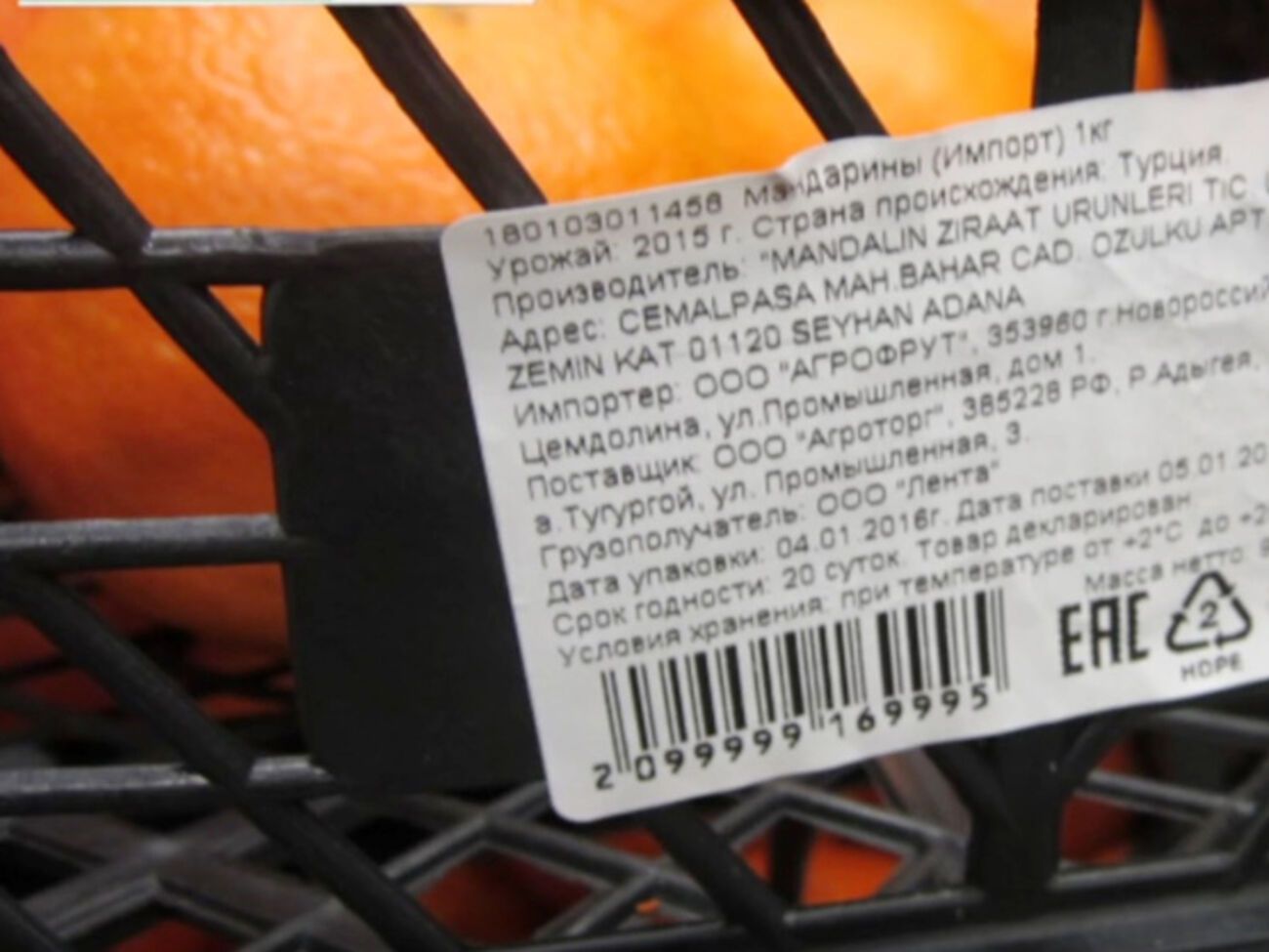 Турецкие мандарины пошли под бульдозер