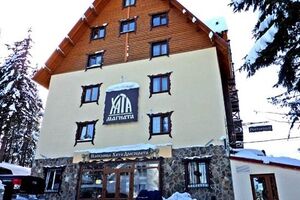 Пятеро неизвестных вооруженных мужчин устроили драку с охранниками туристической базы на Закарпатье