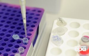 Результаты исследования могут помочь бороться с врожденными болезнями