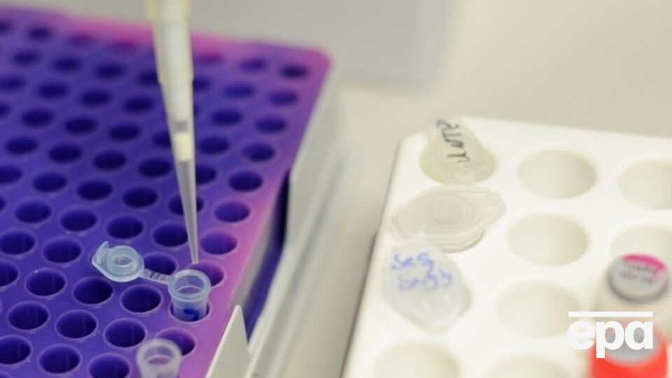 Результаты исследования могут помочь бороться с врожденными болезнями