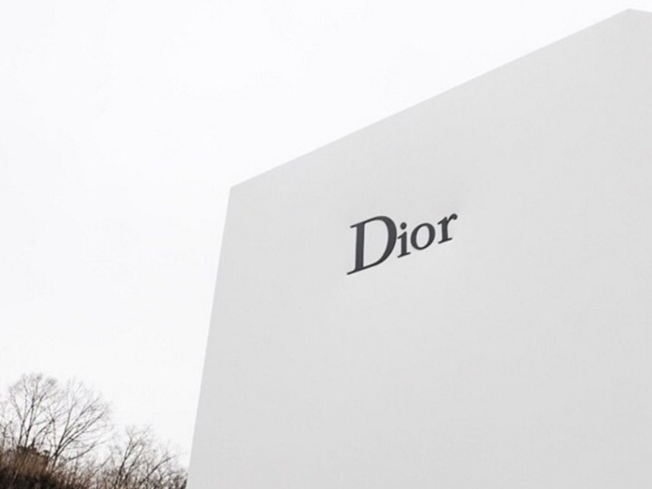 У российской уборщицы украли сумочку Dior