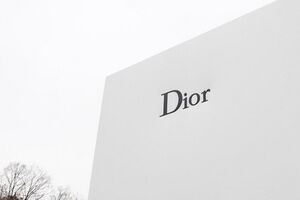 У российской уборщицы украли сумочку Dior