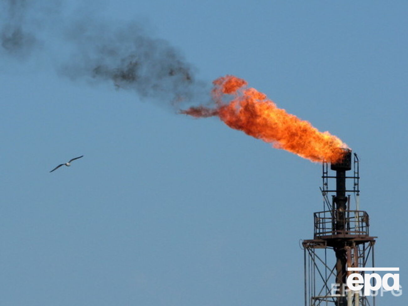 В российском правительстве рассматривают пессимистичные прогнозы цен на нефть