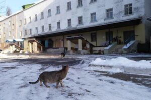 По предварительным данным, причиной смерти заключенного стало заболевание сердца