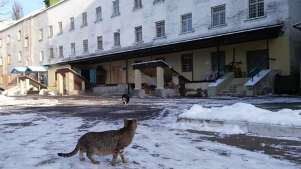 По предварительным данным, причиной смерти заключенного стало заболевание сердца