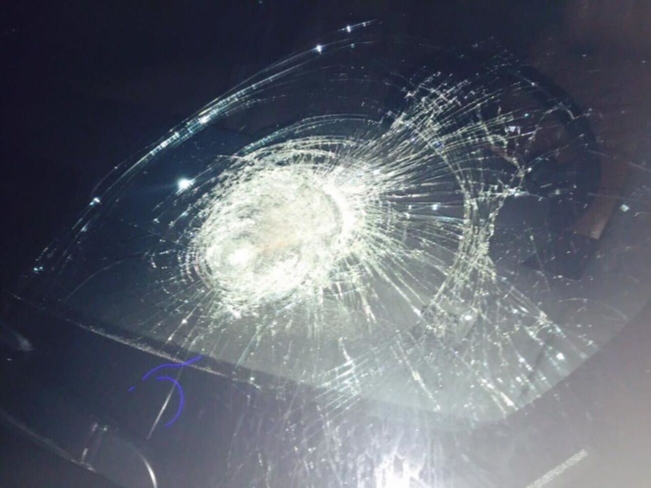 По автомобилю нардепа Рыбалки произвели два выстрела