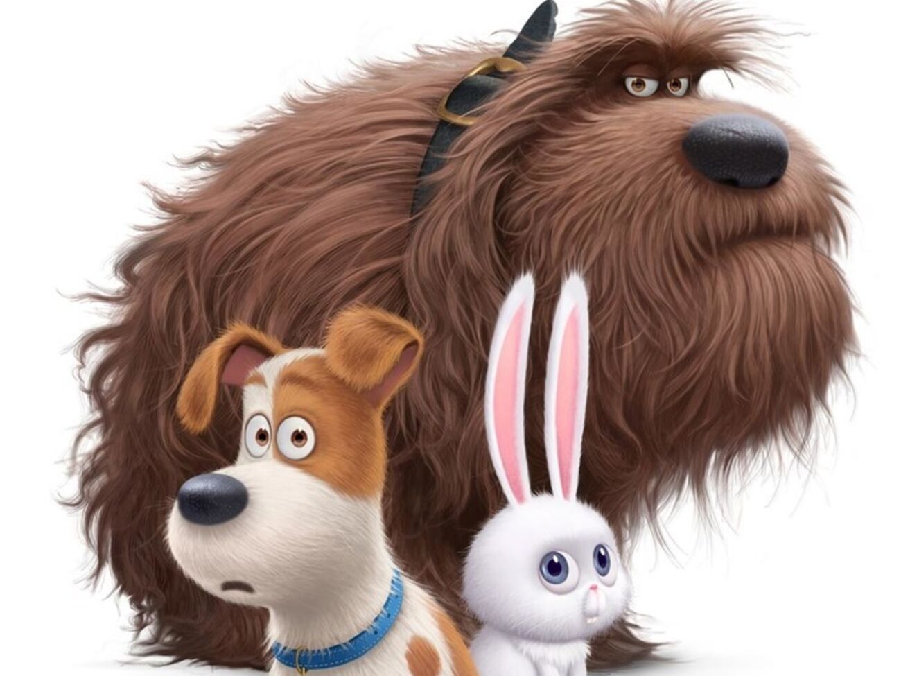 Бездомные животные сразятся с домашними питомцами в новом мультфильме