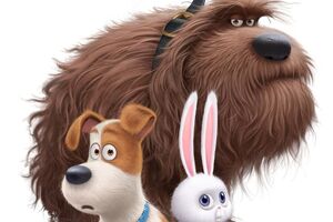 Бездомные животные сразятся с домашними питомцами в новом мультфильме