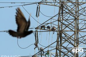 За прошлый год Украина импортировала из России электроэнергию на сумму $84,866 млн