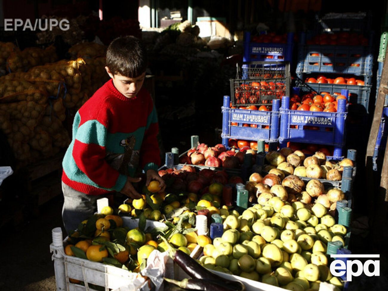РФ заменит турецкие продукты на иранские