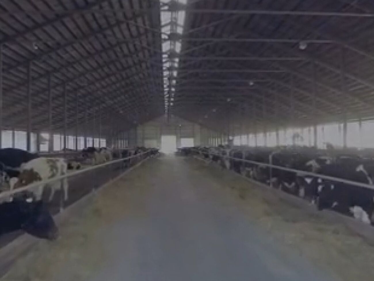 Министерство аграрной политики и продовольствия Украины: В 2015 году кадровая коррупция была уничтожена