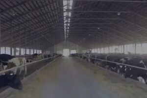 Министерство аграрной политики и продовольствия Украины: В 2015 году кадровая коррупция была уничтожена