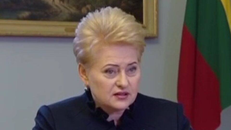 Грибаускайте: Хочу поздравить Украину с очень позитивным отчетом Европейской комиссии в декабре прошлого года, в котором сказано: "Украина готова"