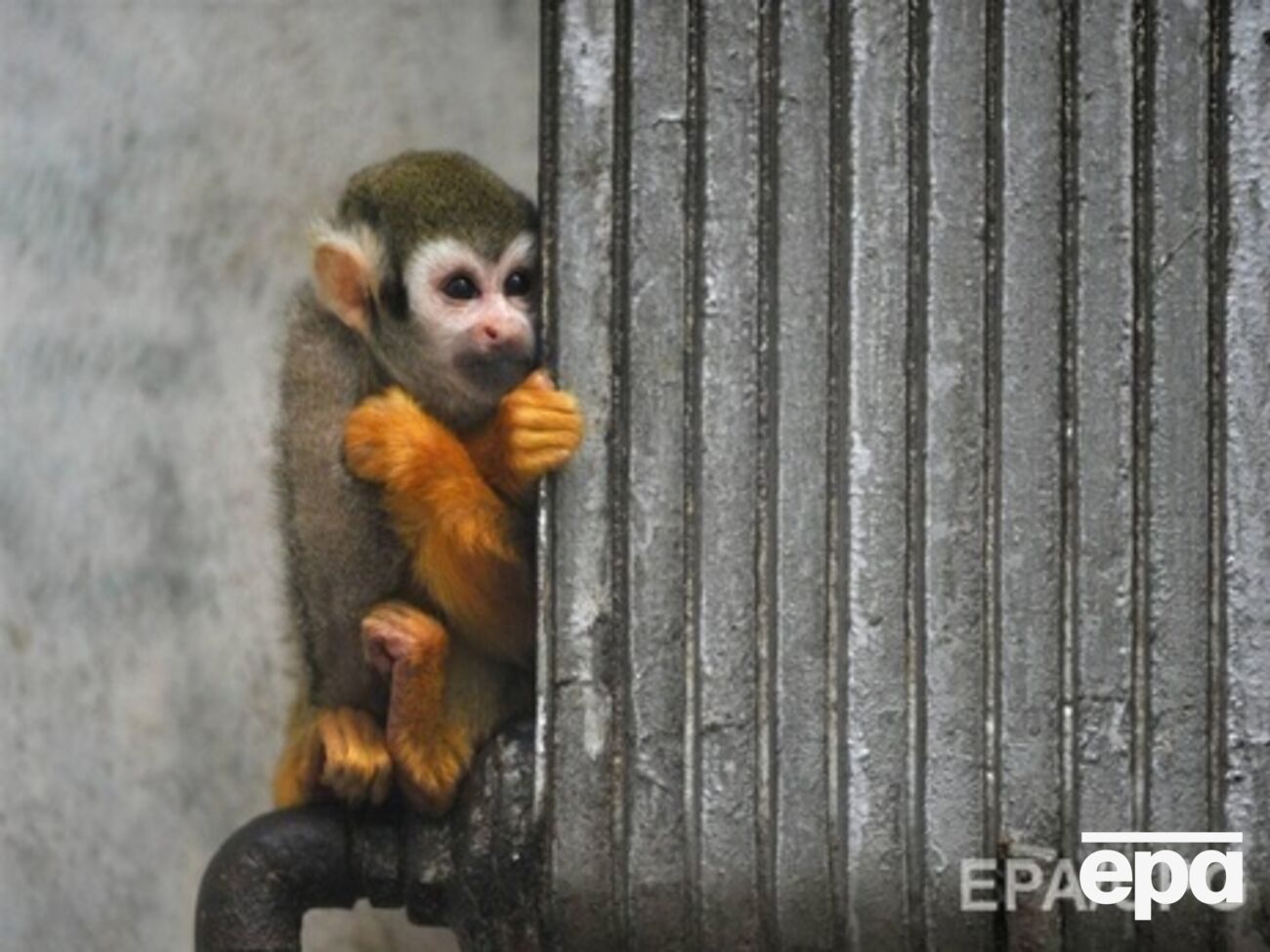 КГГА:&nbsp;В квартирах столичных жителей должна быть комфортная температура &ndash; не ниже 18 градусов тепла