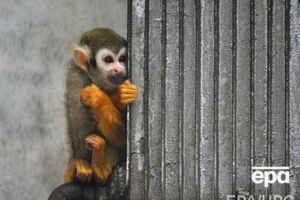 КГГА: В квартирах столичных жителей должна быть комфортная температура – не ниже 18 градусов тепла