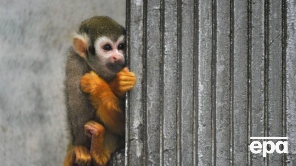 КГГА: В квартирах столичных жителей должна быть комфортная температура – не ниже 18 градусов тепла