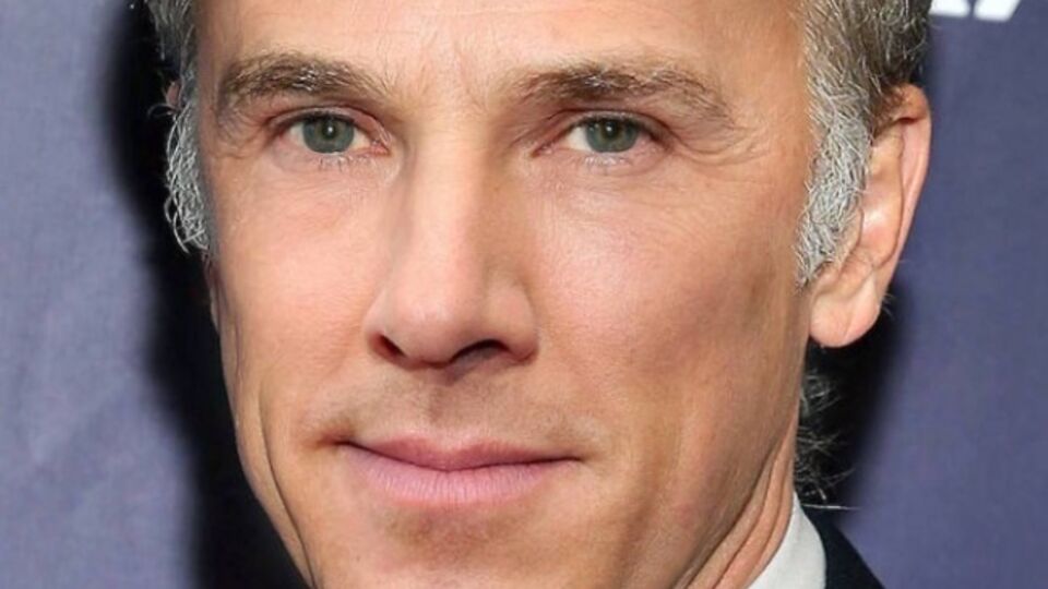 Так выглядит портрет, созданный из комбинации фото Кристофа Вальца и Бенедикта Камбербэтча