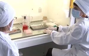 В регионах Украины проводится ежедневный мониторинг заболеваемости гриппом и ОРВИ, сообщает Государственная санитарно-эпидемиологическая служба