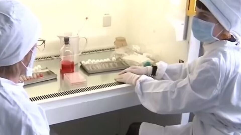 В регионах Украины проводится ежедневный мониторинг заболеваемости гриппом и ОРВИ, сообщает Государственная санитарно-эпидемиологическая служба