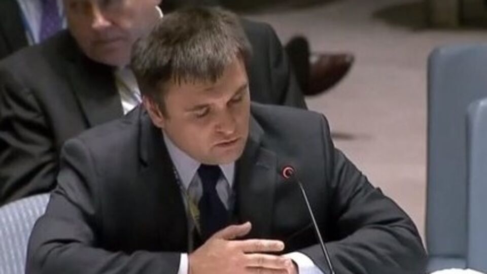 Климкин поднял тему освобождения члена ПАСЕ Савченко