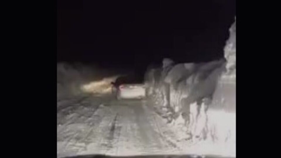 Одесситка выложила впечатляющее видео о состоянии автодороги