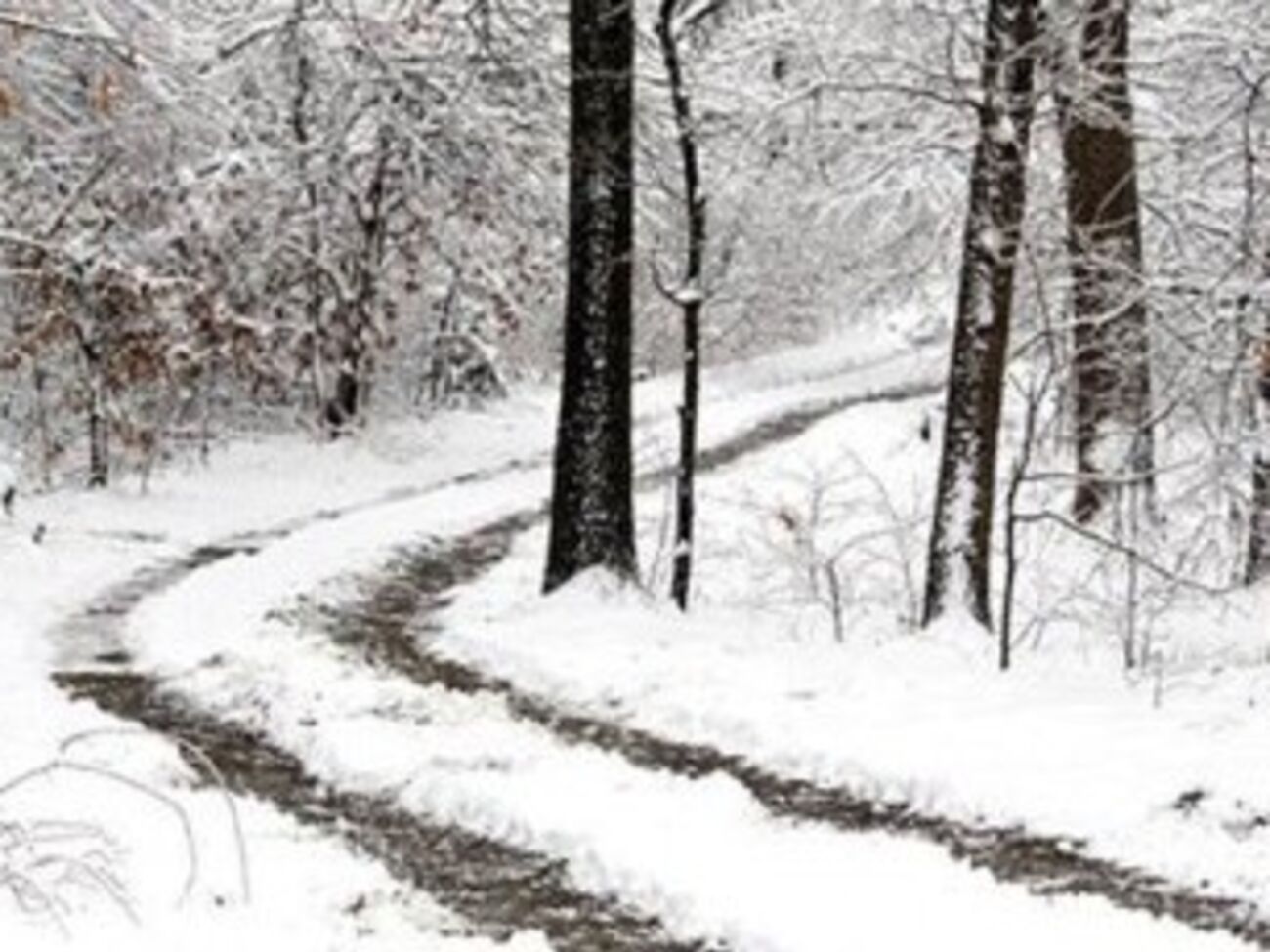 Алексей Плотников: Сейчас ничего не сдерживает дальнейшее падение гривны