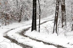 Алексей Плотников: Сейчас ничего не сдерживает дальнейшее падение гривны