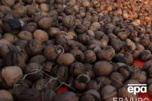 Генпрокуратура начала борьбу с "ореховой мафией"