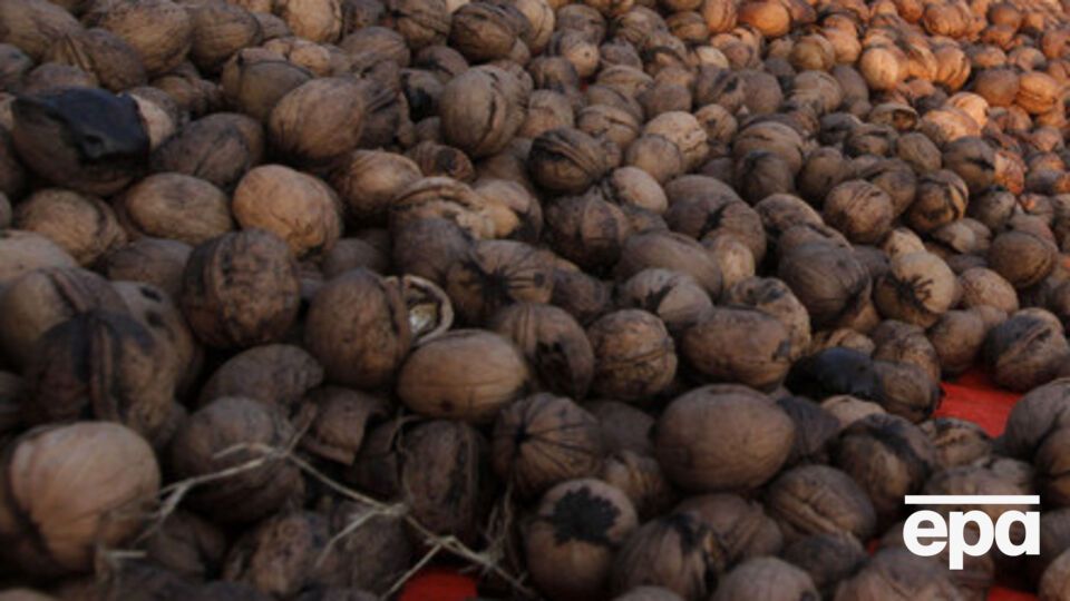 Генпрокуратура начала борьбу с "ореховой мафией"