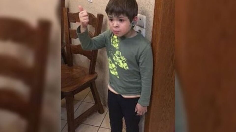 Ребенок отчитал отца за убийство мыши: Из-за вас скоро животные исчезнут!