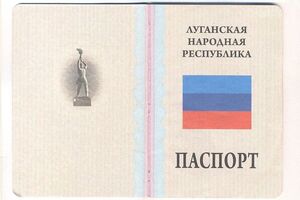 Российские пограничники пропустили через пропускной пункт на российско-украинской границе женщину с "паспортом" "ЛНР"