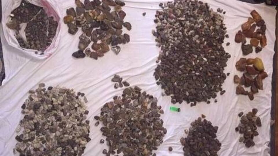 СБУ обнаружила крупную партию контрабандного янтаря