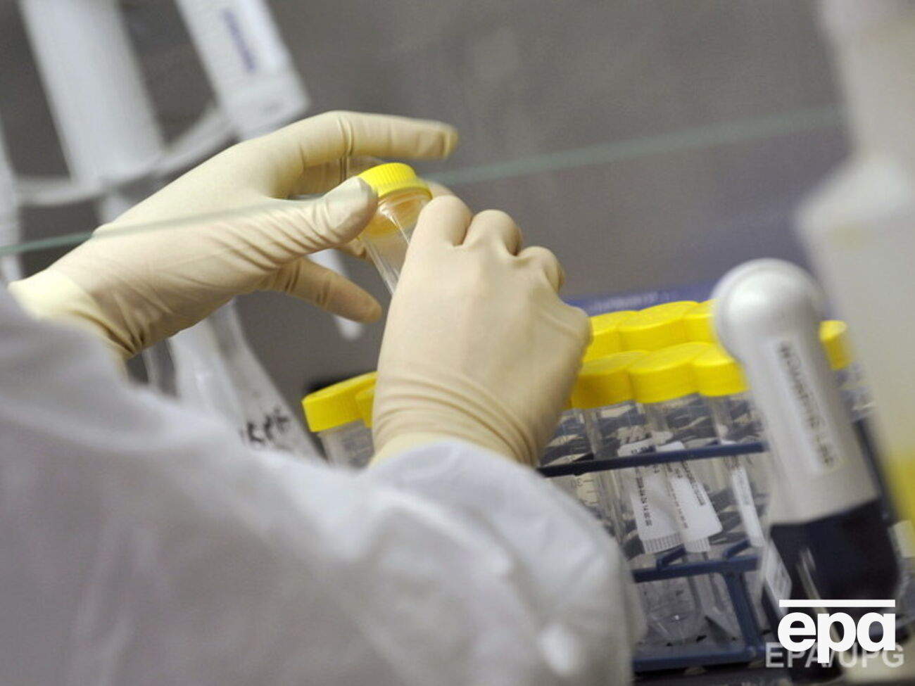 Боевики "ДНР" "разоблачили" секретную лабораторию по производству гриппа под Харьковом