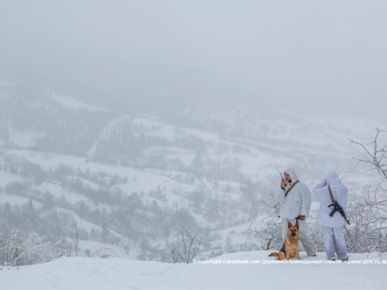 Пограничники задержали жителей Донбасса, пытавшихся нелегально попасть в ЕС