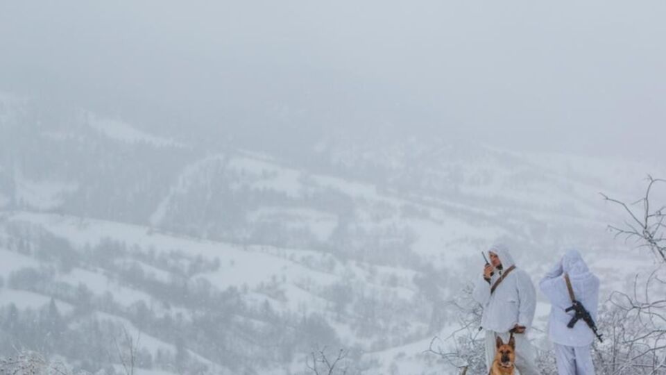 Пограничники задержали жителей Донбасса, пытавшихся нелегально попасть в ЕС