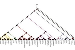 Реконструкция древа происхождения сказок