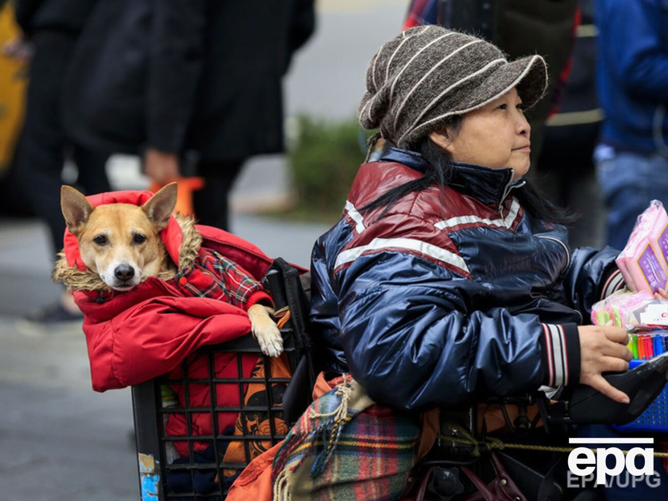 Самые сильные холода в Тайване синоптики прогнозируют 24-25 января