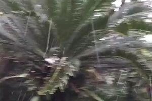 Осадки в виде мокрого снега на острове Амами-Осима продолжались в течение четырех минут