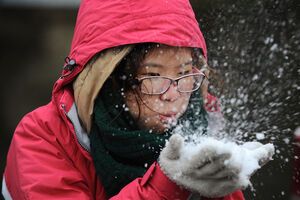 В тропиках Вьетнама выпал снег. Фоторепортаж