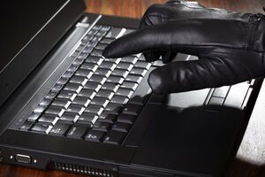 От действий преступника пострадали минимум 15 немецких интернет-магазинов