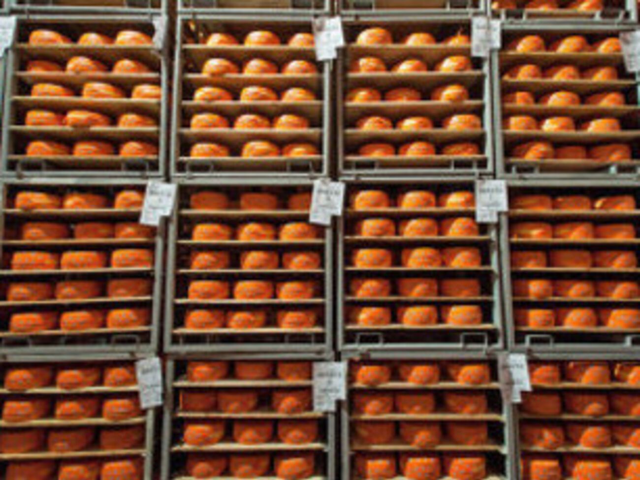 Все СМИ, упомянувшие бренд&nbsp;Christian Louboutin в новости о выставке Ван Гога, должны будут убрать упоминание