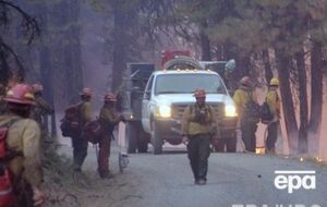 Во время ареста полицейские открыли огонь