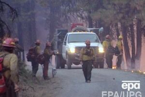 Во время ареста полицейские открыли огонь