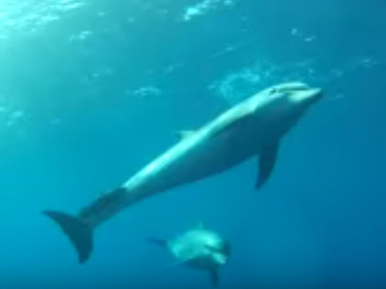 После официального создания морского заповедника для рыболовства будет закрыта примерно половина его территории