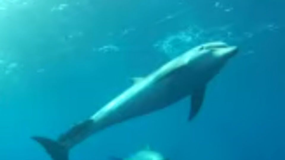 После официального создания морского заповедника для рыболовства будет закрыта примерно половина его территории