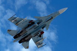 Пентагон подтвердил пролет российского самолета Су-34 над территорией Турции