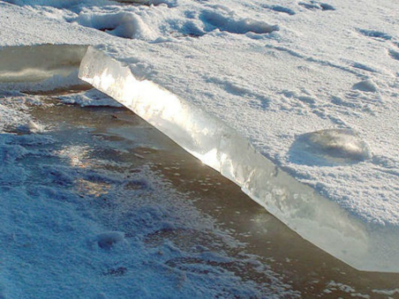 Четверо спасателей занимались спасением детей