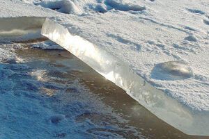 Четверо спасателей занимались спасением детей