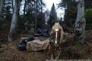 По данным Госпогранслужбы Украины, румынские пограничники во время проведения совместных мероприятий по ту сторону границы задержали двоих граждан Румынии